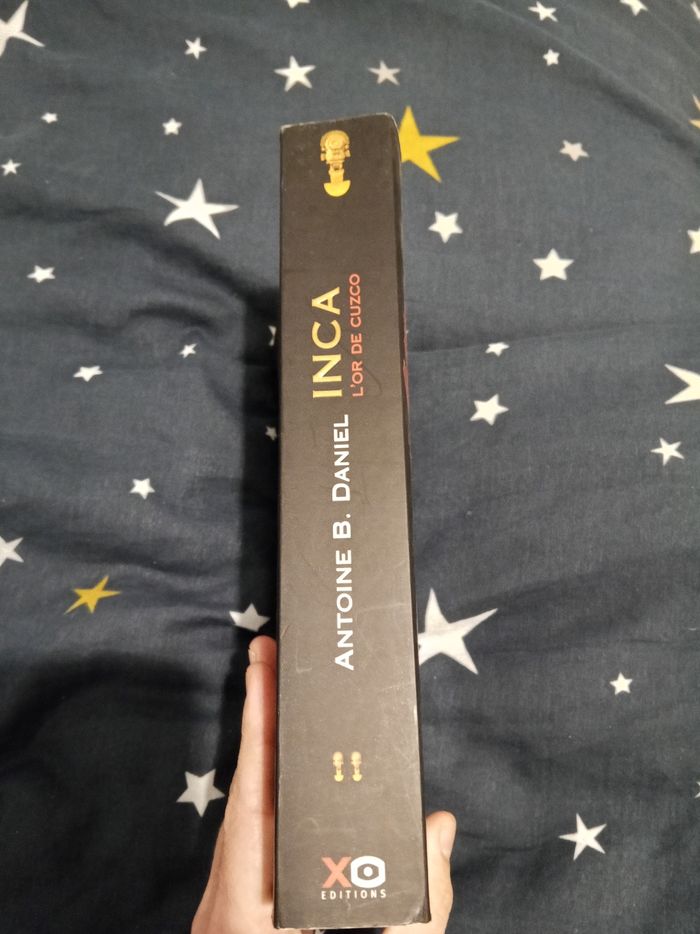 Livre (105) 📚 INCA - L'or de cuzco - photo numéro 3