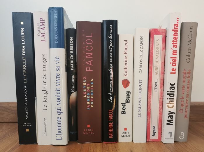 Grand choix de livres - photo numéro 2
