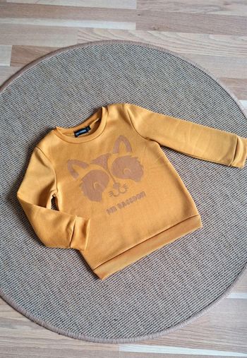 Mignon petit sweatshirt garçon motif raton laveur 🦝