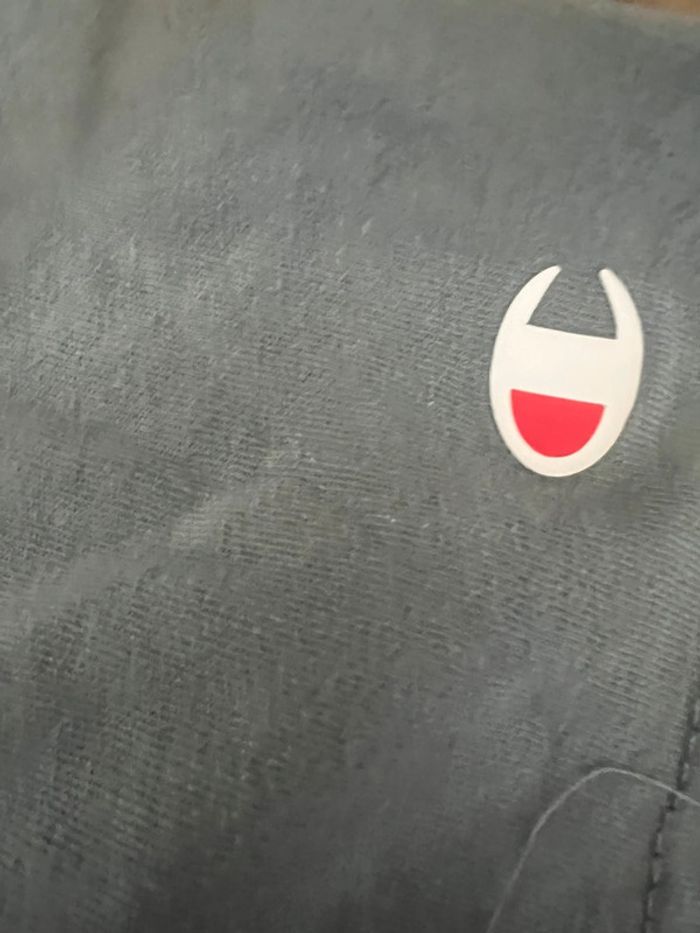 Tee-shirt champion - photo numéro 4