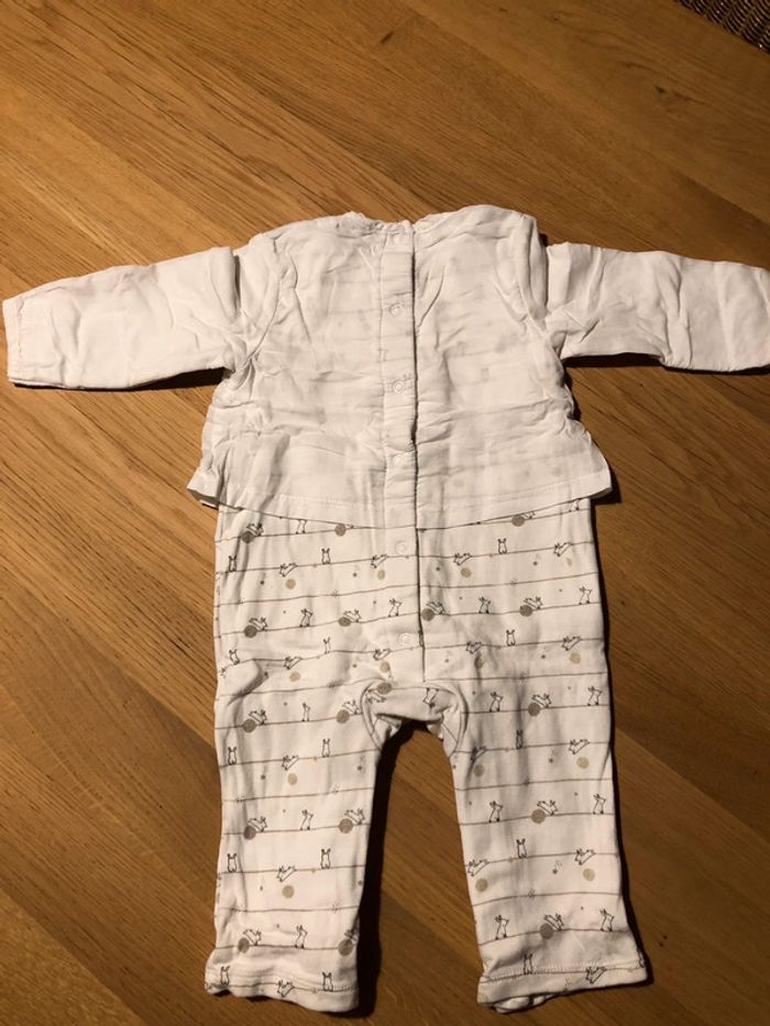 Ensemble Orchestra - photo numéro 4