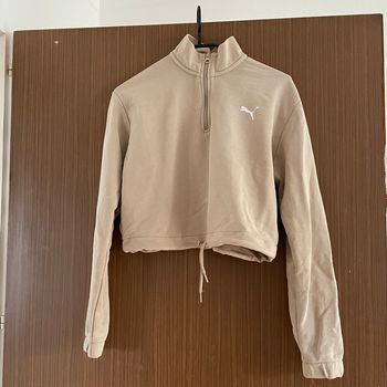 Sweat puma