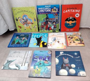 Livres jeunesse pour enfant (lot 3)