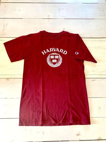 Tee shirt bordeaux unisexe printed champion Harvard