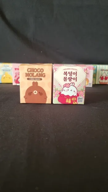 Lot de 2 Blind box molang