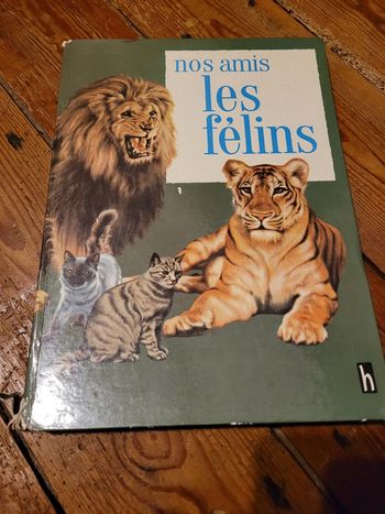 Livre 1968 Nos amis les Félins Hachette Young Wockels Michèle Kahn