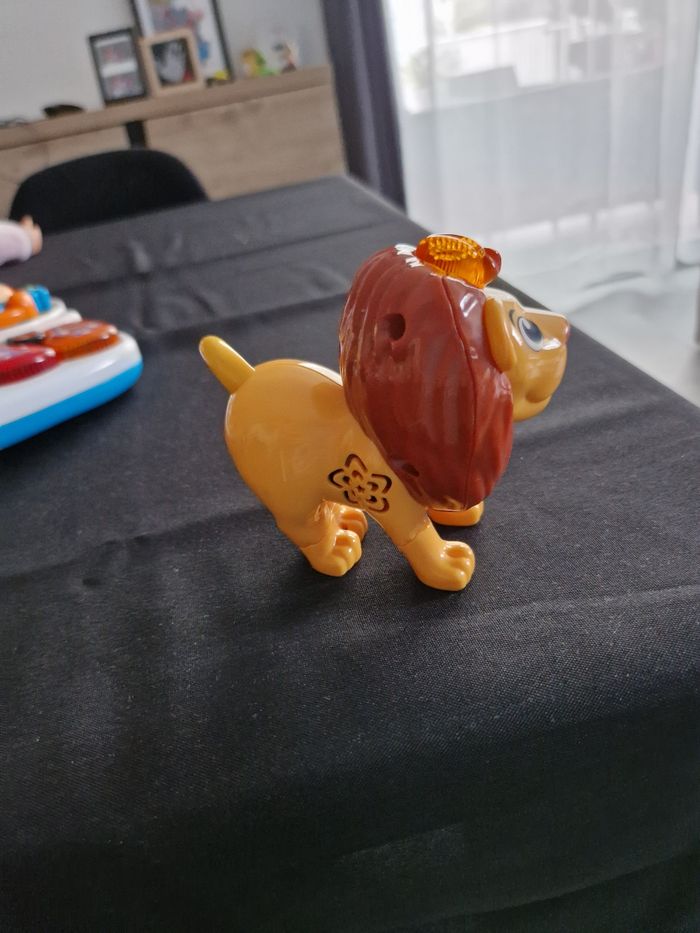 Tyler le lion - photo numéro 2