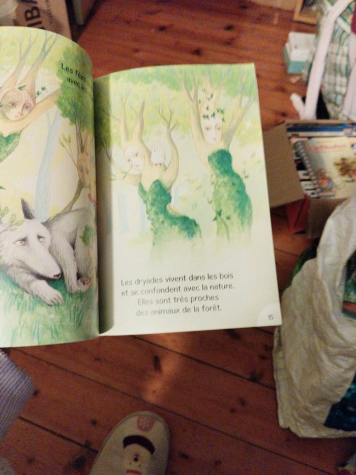 Les créatures mystérieuse de Brocéliande - photo numéro 3