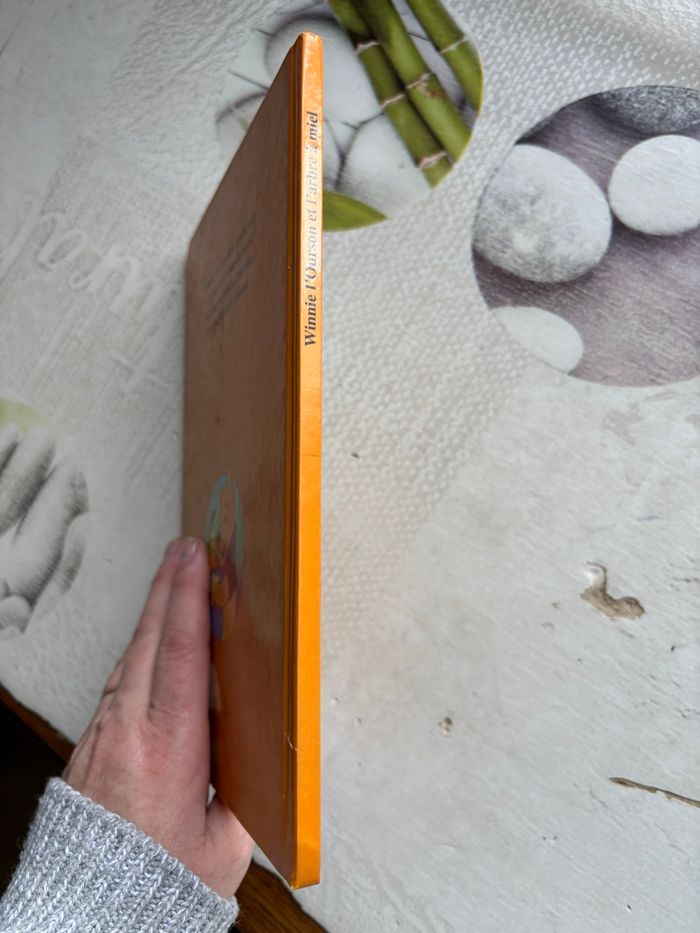 Livre Disney - photo numéro 6