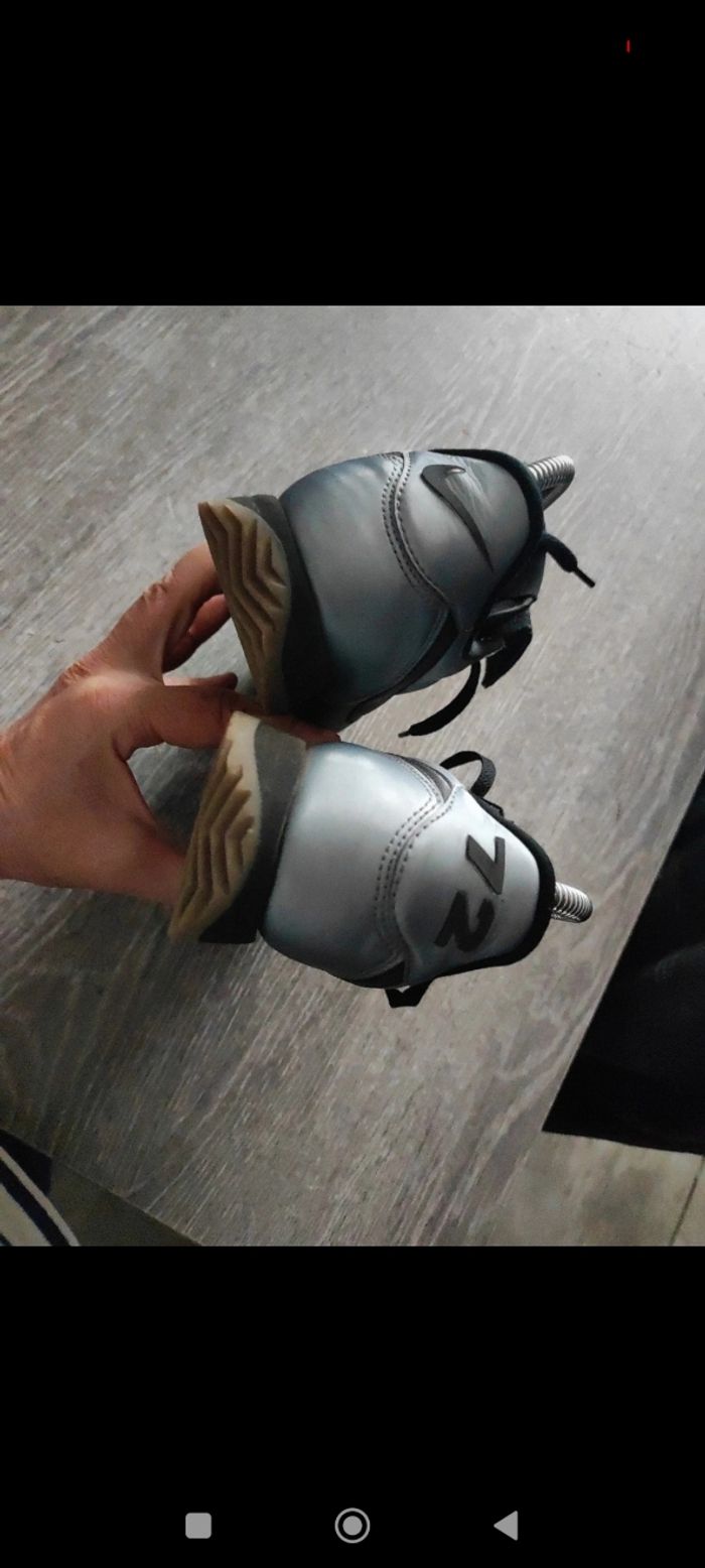 Cortez gris argenté - photo numéro 8