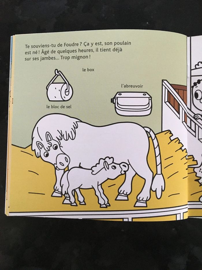 Coloriage Poney-club mes docs Milan - photo numéro 5