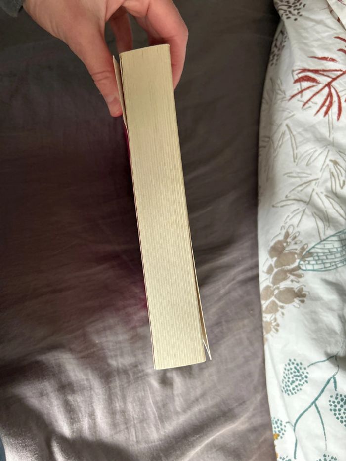 Livre colleen Hoover ugly love - photo numéro 5