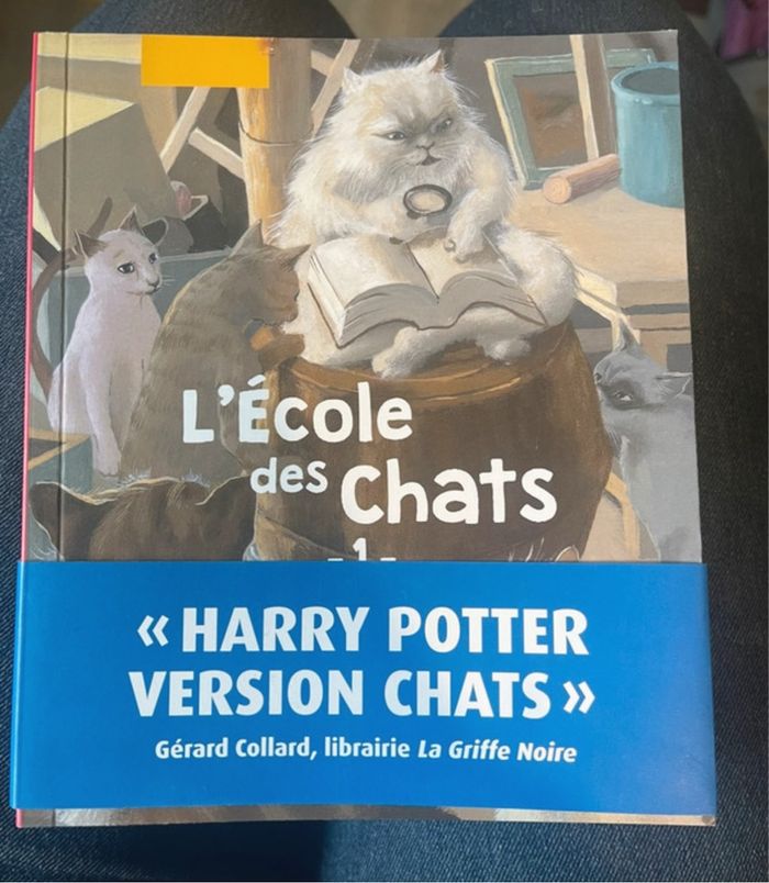 Livre l’école des chats