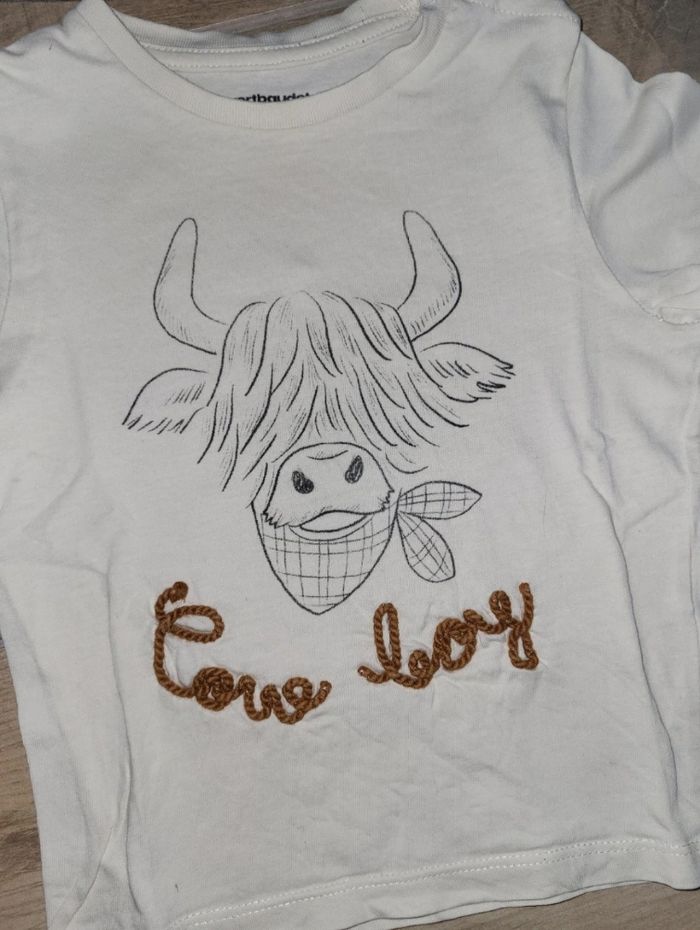 Lot 2 tee-shirt dinosaure et cow boy 2 ans - photo numéro 2