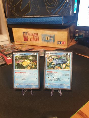 Lot de cartes pokémon 