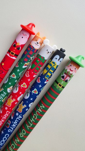 Lot de 5 stylos animaux collection Noël 🎅