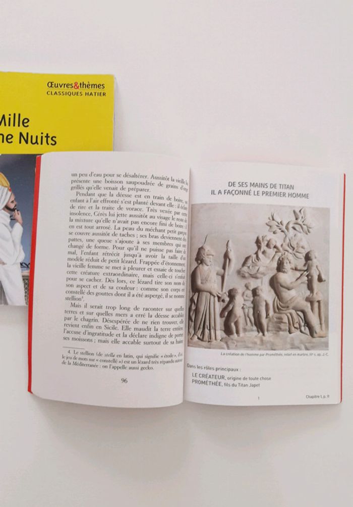 📚 Lot 2 classiques pour la 6ème - photo numéro 4