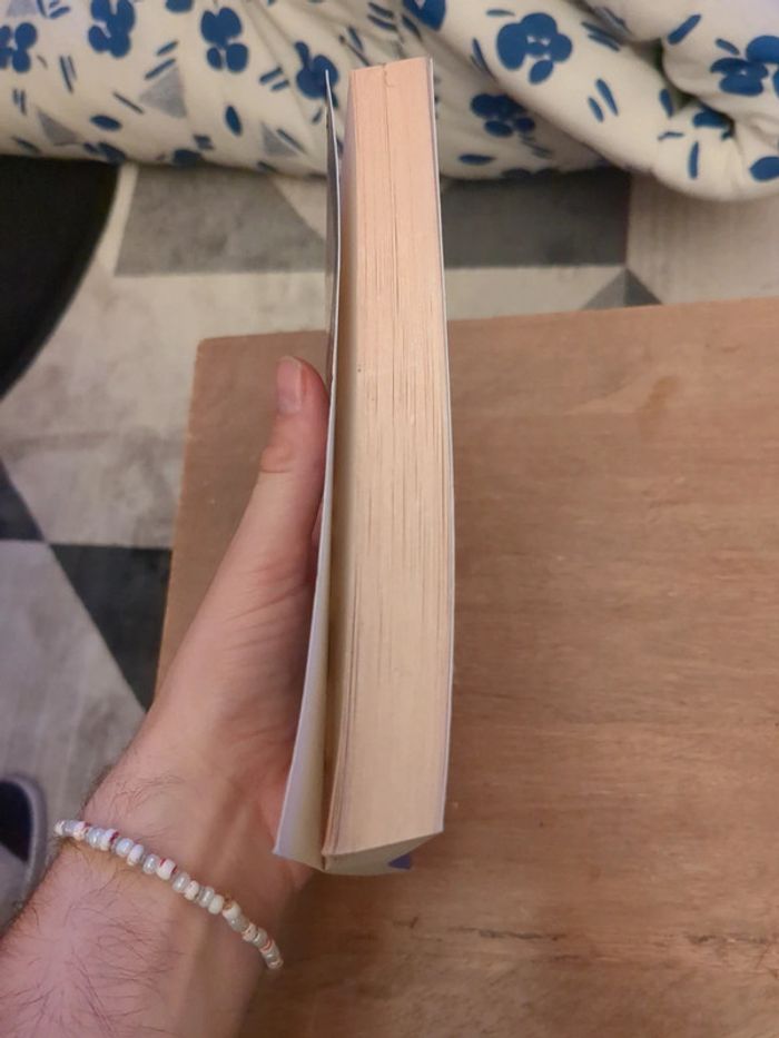 Diana Wynne Jones - la chasse aux sorcières - photo numéro 3