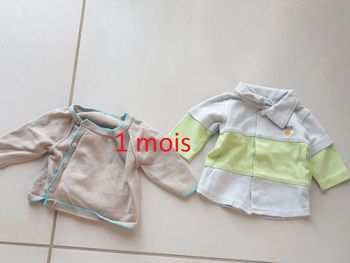 2 t-shirt pull léger ML 1 mois