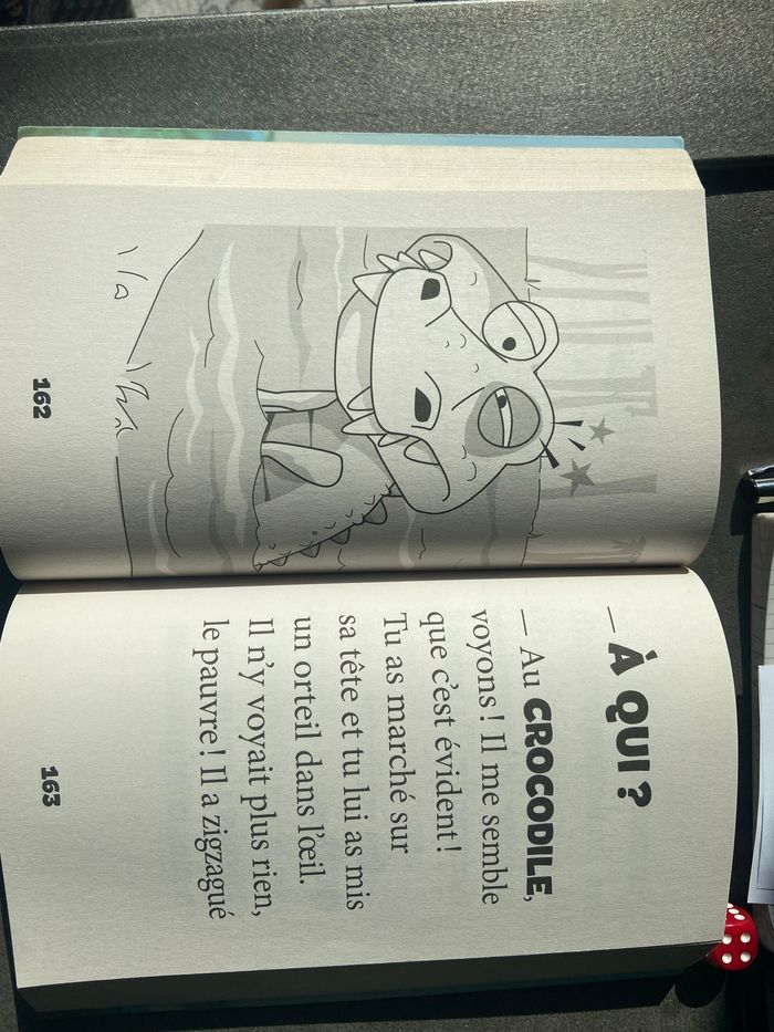 Livre coco catastrophe - photo numéro 3