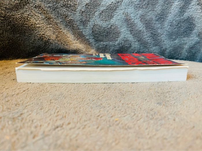 Livre dont vous êtes le héros le loup solitaire la traversée infernale V1 - photo numéro 6