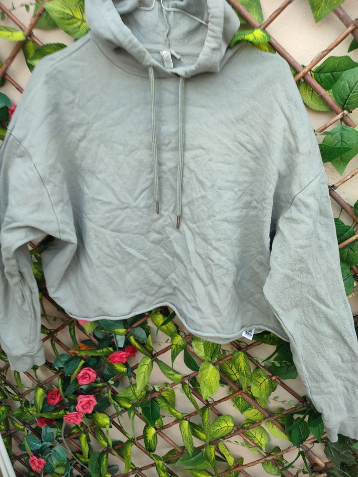 Sweat a capuche