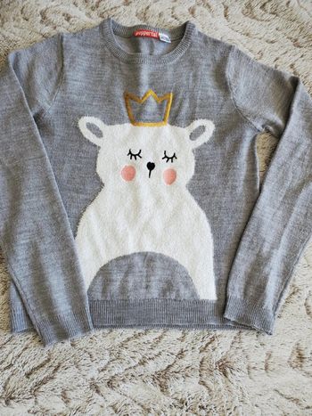 Pull 9/10 ans Pepperts!