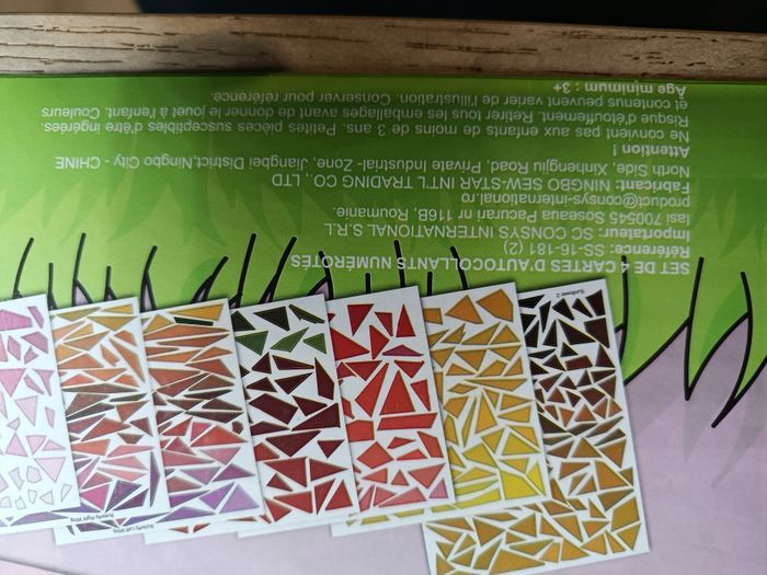 Mosaïque par numéros papillons et fleurs - photo numéro 3