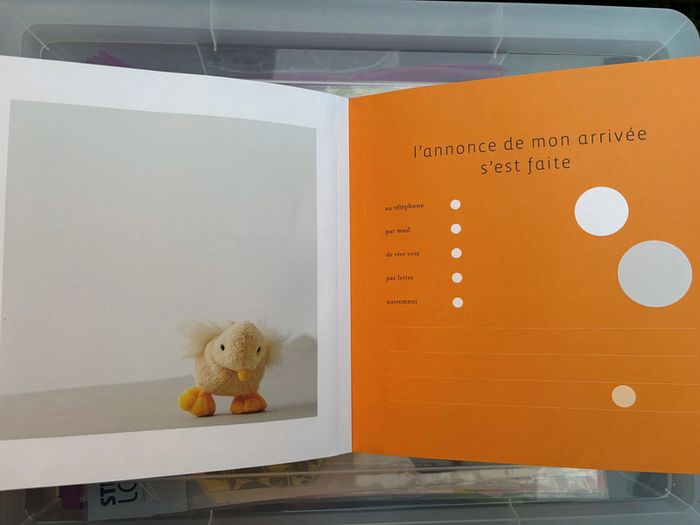 L'Album de Bébé "Edition Flammarion" - photo numéro 5