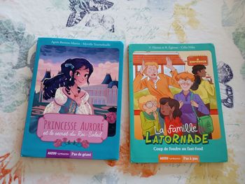 Lot de livres auzou romans princesse Aurore et la famille tornade