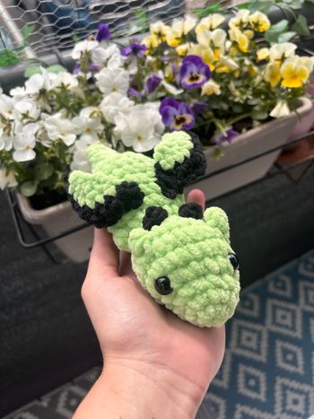 Peluche 