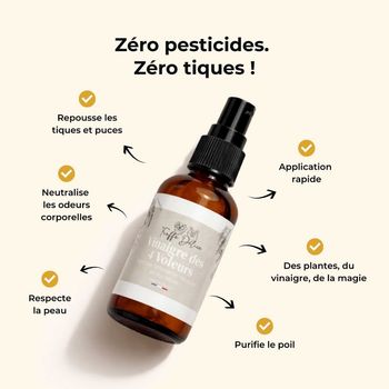 Vinaigre des 4 voleurs 