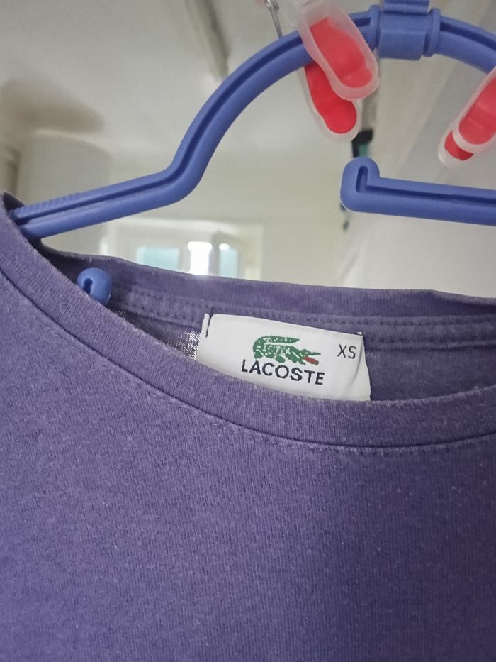 T-shirt Lacoste femme taille XS - photo numéro 4
