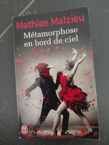 Livre métamorphose en bord de ciel