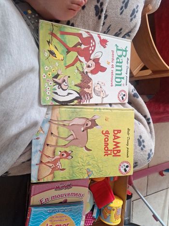 Lot 2 livres bambie ancien