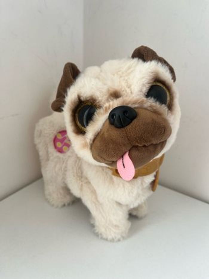 Chien bouledogue PET ALIVE