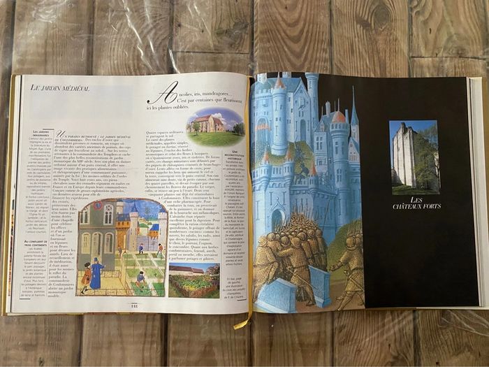 livre la France médiévale - photo numéro 3