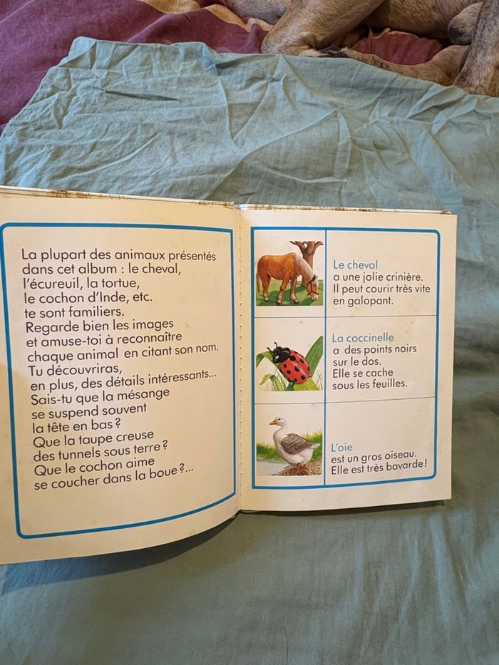 Les animaux familiers - photo numéro 2