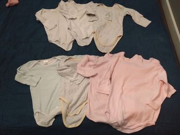 Lot de 7 bodies 24 mois