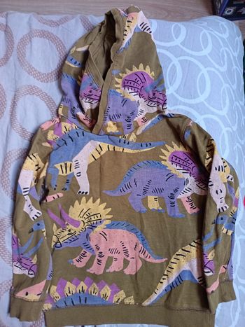 Sweat à capuche 