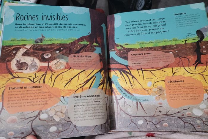 Livres "arbres : secrets et mystères insoupçonnés" - photo numéro 3