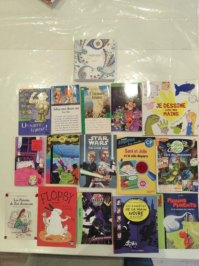 Lot 16 livres jeunesse