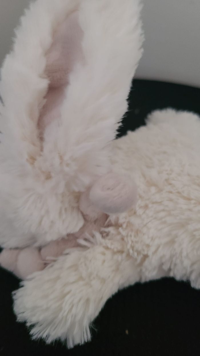 doudou lapin - photo numéro 4