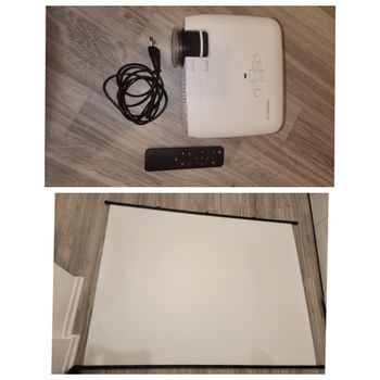 Projecteur et panneaux de projection 