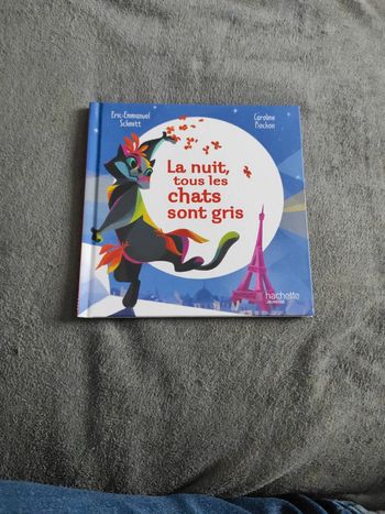 La nuit tous les chats sont gris