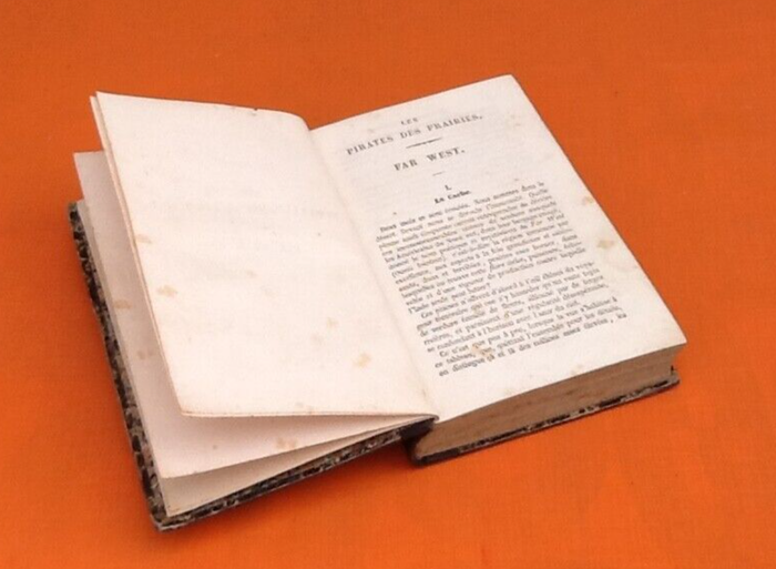 Gustave Aimard Les Pirates des Prairies (1858) - photo numéro 7