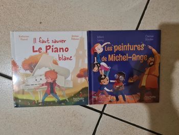 Livre neuf les peintures de Michel ange