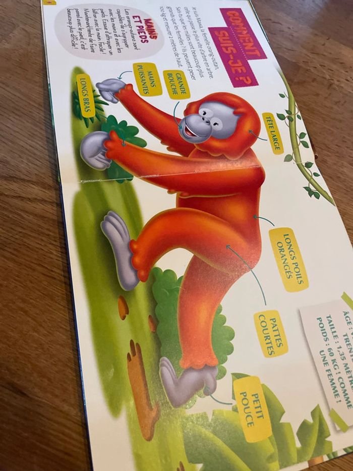 Livre collection Les animaux du zoo Mawa l’orang outan avec une figurine singe - photo numéro 13