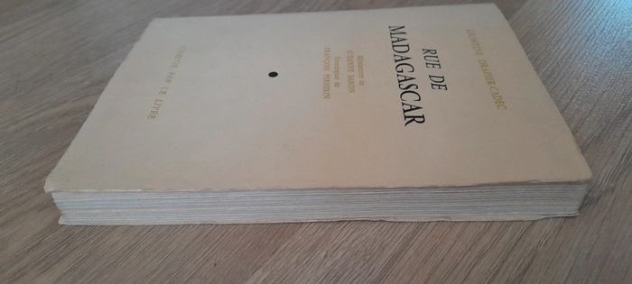 Rue de Madagascar leontine drapier-cadec - photo numéro 6