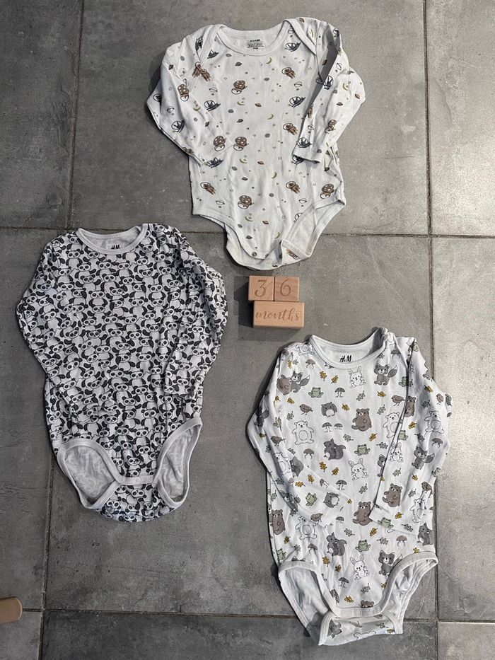 Lot de 3 bodys H&M taille 36 mois très bon état - photo numéro 1